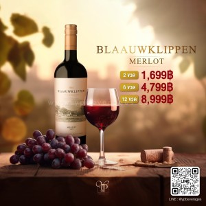 BLAAUWKLIPPEN MERLOT